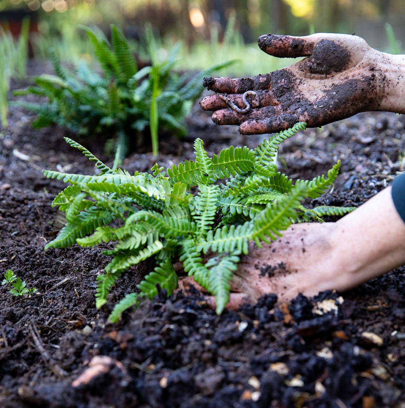 Spring 2019 – The Dirt Issue