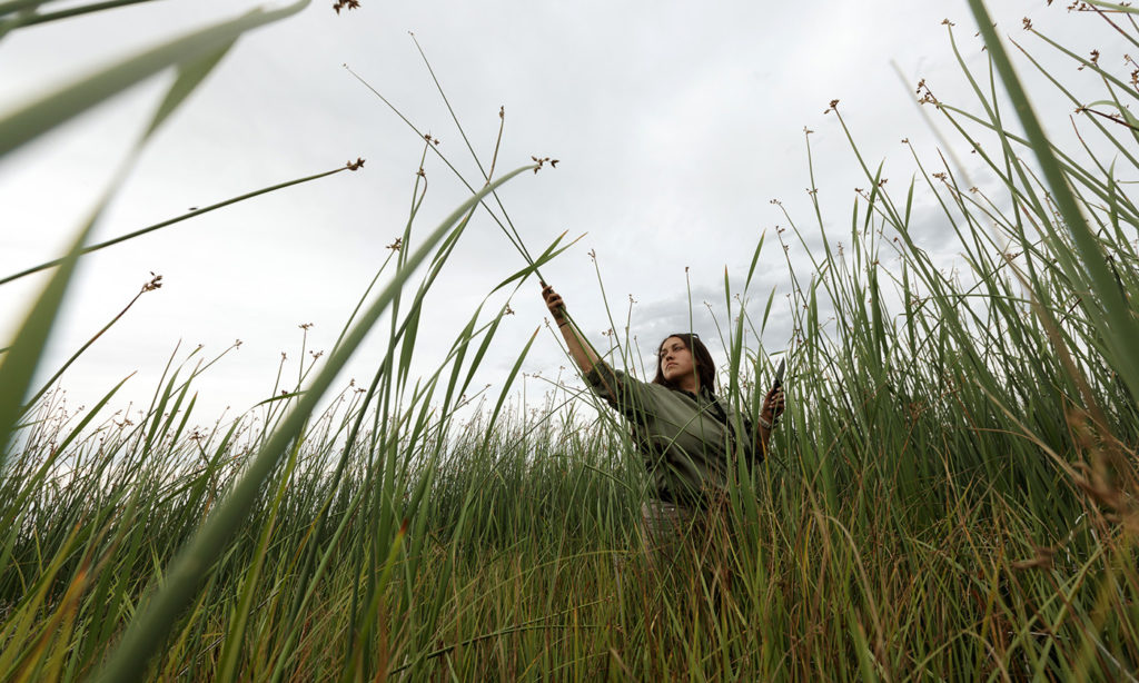 Crew leader, Tiyana Casey, gathers Tully to weave ceremonial mats with. Photo by Sage Brown.