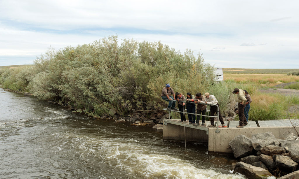 Tribal stewards conduct water quality monitoring. Photo by Sage Brown.