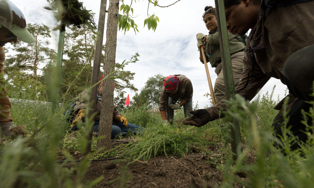 A rewarding day of removing invasive weeds from the Malheur National Wildlife Refuge. Photo by Sage Brown.