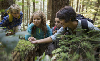 Teacher and children looking at plants in woods