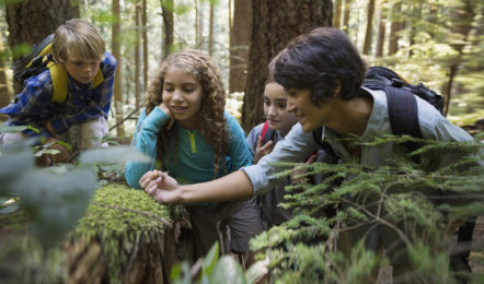 Teacher and children looking at plants in woods