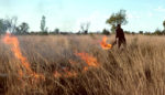 To Help Australia, Look to Aboriginal Fire Management