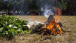 Strength From Grief: How Aboriginal People Experience the Bushfire Crisis