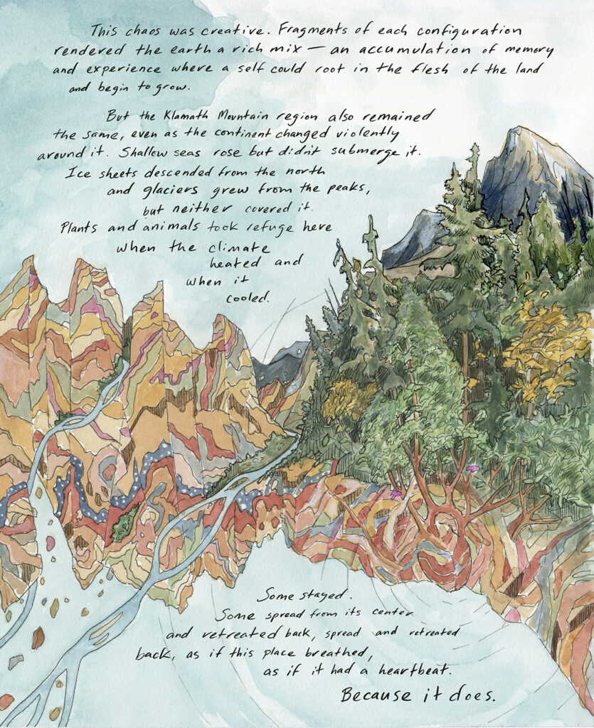 An illustration on a blue background shows stylized mountains, now with evergreen trees and snowy peaks. Handwritten text reads: This chaos was creative: Fragments of each configuration rendered the earth a rich mix—an accumulation of memory and experience where a self could root in the flesh of the land and begin to grow.
 
But the Klamath Mountain region also remained the same, even as most of the rest of the continent changed violently around it. Shallow seas rose but didn’t submerge it. Ice sheets descended from the north and glaciers grew from the peaks, but neither covered it. Plants and animals took refuge here when the climate heated and when it cooled. Some stayed. Some spread from its center and retreated back, spread and retreated back, as if this place breathed, as if it had a heartbeat. Because it does.