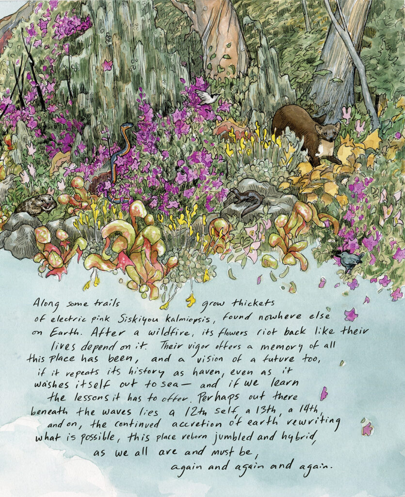 Illustrated animals, including a beaver, newt, hummingbird, snake, and weasel sit among purple, yellow, pink, and green flowers. Below the illustration, handwritten text on a blue background reads: In the fens, cobra plants—the last surviving member of their ancient genus—lure insects into their fat, hollow stems, providing for themselves what the soil cannot.
 
Along some remote trails grow great thickets of electric pink Siskiyou kalmiopsis, one of the oldest living members of the heather family, found nowhere else on Earth. After a giant wildfire, its flowers riot back like their lives depend on it. Their vigor offers a memory of all this place has been, and a vision of a future too, if it repeats its own history as haven, even as it washes itself out to sea—and if we learn the lessons it has to offer. Perhaps out there beneath the waves lies a 12th self, a 13th, a 14th, and on, the continued accretion of earth rewriting what is possible, this place reborn jumbled and hybrid, as we all are and must be, again and again and again.