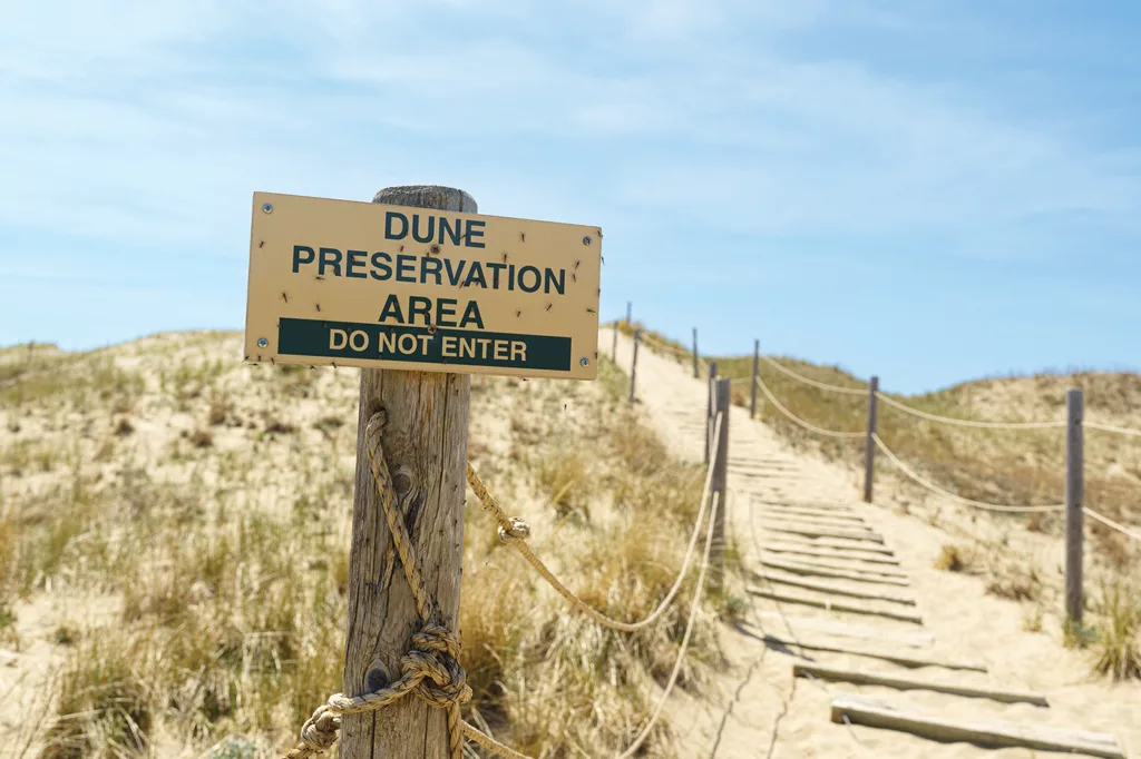 A sign reads "Dune preservation area, do not enter." The sign sits on a post with rope outlining a set of wooden steps placed in the sand leading up the otherwise grassy dune. 