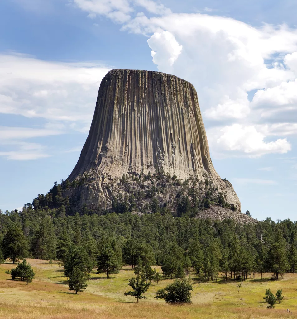 The large grey rock formation known as Bear's Lodge or Devils Tower rises dramatically above the landscape filled with grass and trees in the Black Hills of Wyoming. 