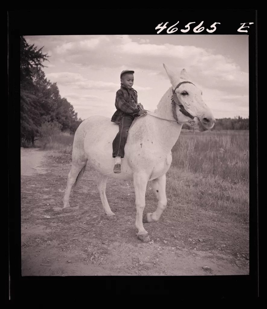 A young Boyd Jones, whose name was documented by photographer Jack Delano, rides one of his father’s mules on their farm in Greene County, Georgia (1941).