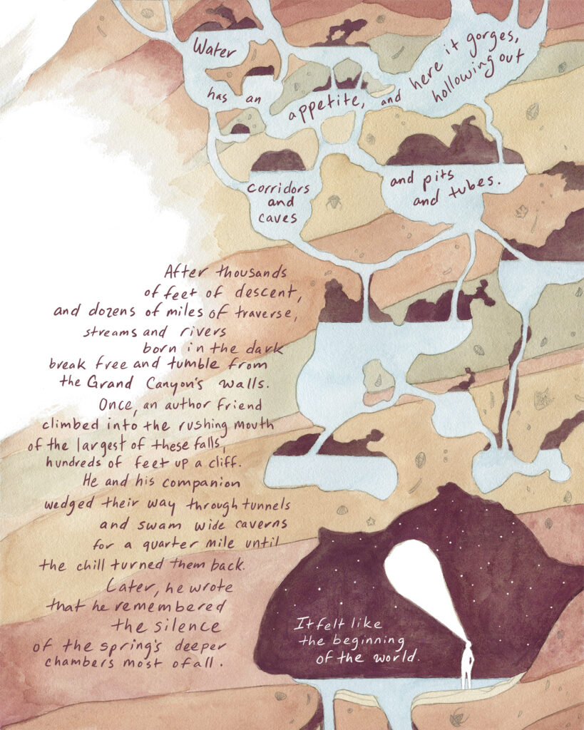 Illustrated water cuts subterranean pathways through red, light green, and tan earth. Handwritten follows those pathways and reads: Water has an appetite, and here, it gorges, hollowing the soluble rock into corridors and caves and pits and tubes. After thousands of feet of descent and dozens of miles of lateral traverse, streams and rivers born in the dark break free and tumble from the Grand Canyon’s walls.
Once, an author friend climbed into the rushing mouth of one of the largest of these falls, hundreds of feet up a cliff. He and his companion wedged their way through tunnels and swam through wide caverns for a quarter mile until the chill turned them back. Later, he wrote that he remembered the silence of the spring’s deeper chambers most of all. It felt like the beginning of the world.
