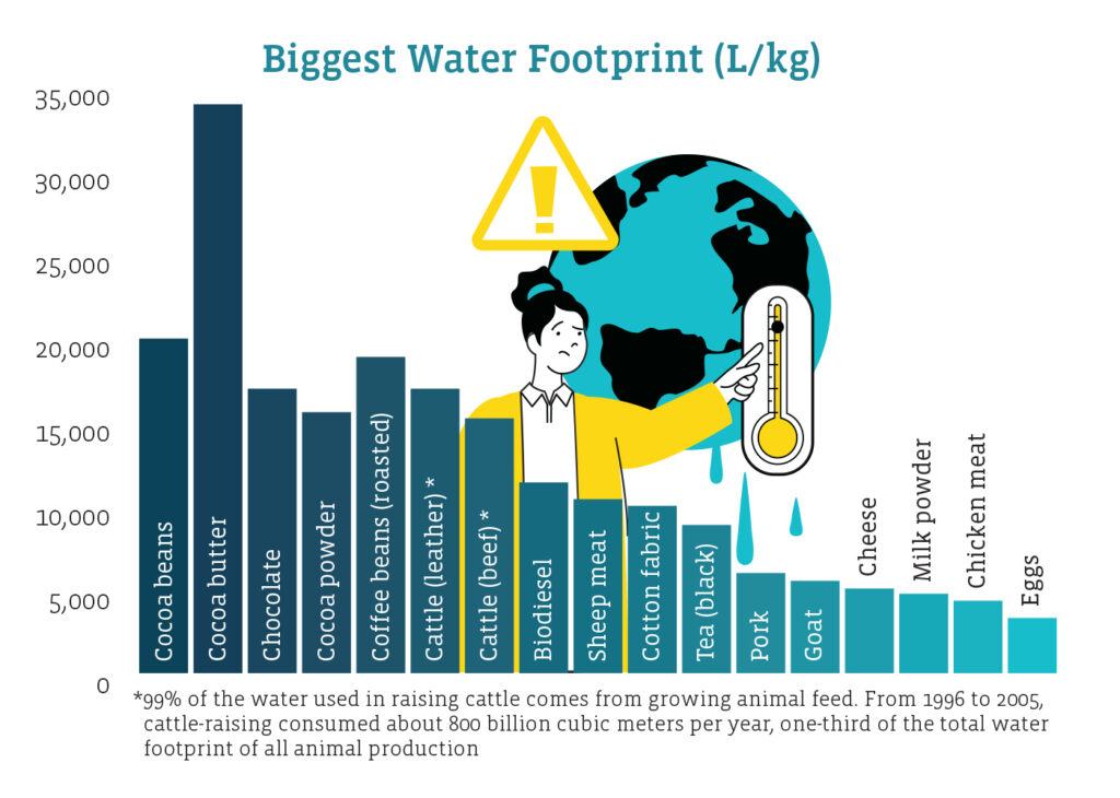 A bar graph conveys the biggest water footprint (in liters per kilogram) of the following agricultural products: 
Cocoa beans: 20,000 L/kg
Cocoa butter: 34,000 
Chocolate: 17,000
Cocoa powder: 15,600
Coffee beans (roasted): 18,900 (130 L per cup)
Cattle (leather): 17,000*
Cattle (beef): 15,400*
Biodiesel (from soybeans): 11,400
Sheep meat: 10,400
Cotton fabric: 10,000
Tea (black): 8,860
Pork: 5,990
Goat meat: 5,520
Cheese: 5,060
Milk powder: 4,750
Chicken meat: 4,330
Eggs: 3,300

*99% of the water used in raising cattle comes from growing animal feed. From 1996 to 2005, cattle-raising consumed about 800 billion cubic meters per year, one-third of the total water footprint of all animal production.
Sources: The World Bank, Water Footprint Network