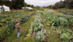 4 Lessons for Growing a Family Farm across Generations