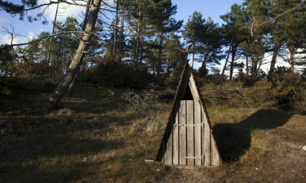 composttoiletdenmark.jpg