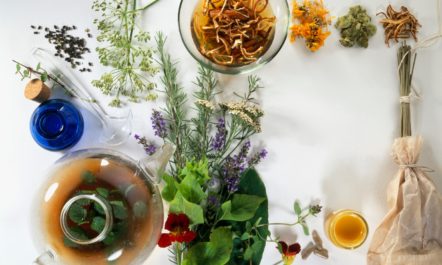 Herbalism.jpg