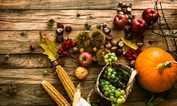 harvest-by-shutterstock-650.jpg