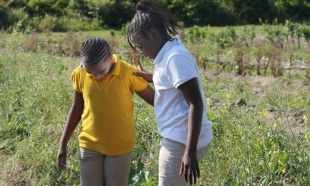 girls-gardening-by-bowens-650.jpg