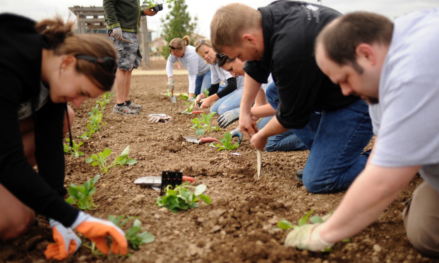 victory-garden.jpg