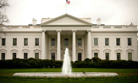 white house green party
