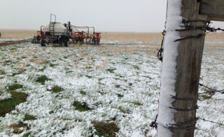 Alberta-snow-in-May650.jpg