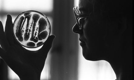 Small Acts of Scientific Civil Disobedience