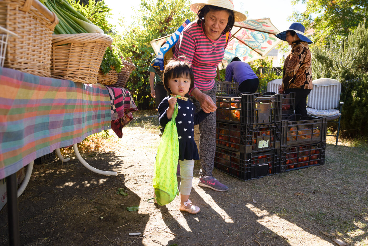 fruta-gift-free-farm-stand