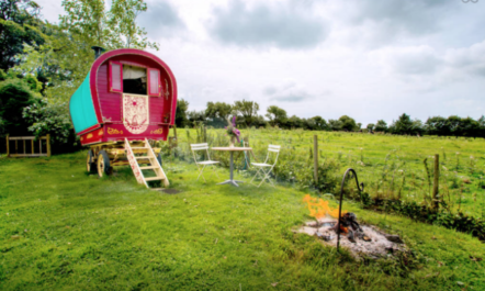 Tiny House