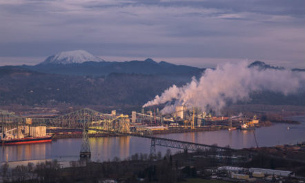 longview_650.jpg