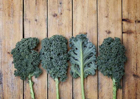 Kale photo from Shutterstock