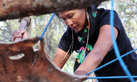 dene-nahjo-indigenous-ways-resistance.jpg