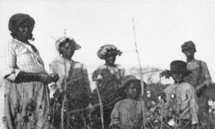 Slavery myths.jpg