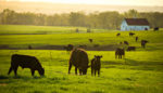 When It’s Time to Hand the Farm to the Next Generation, the Simple Life Is Anything But