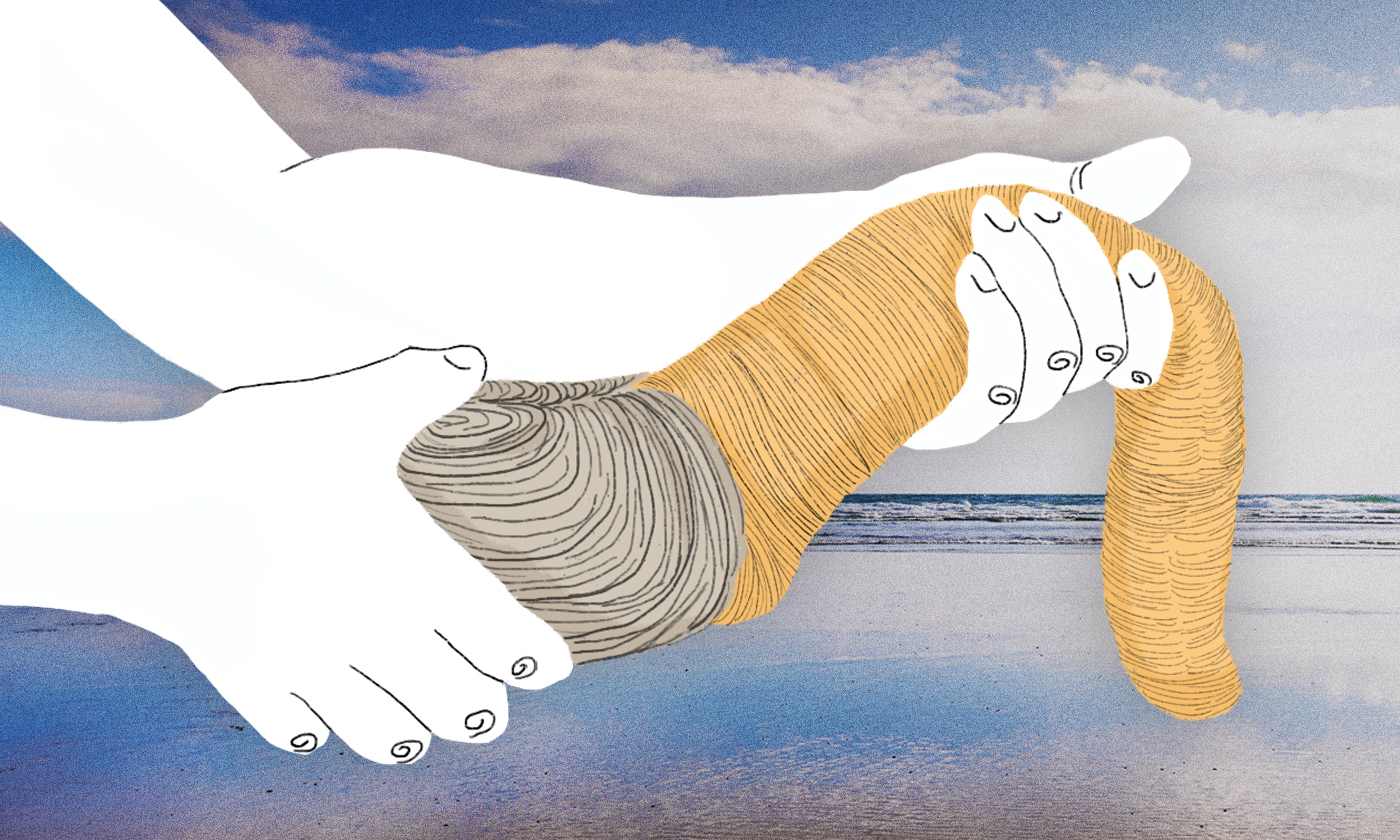 geoduck_illo.jpg