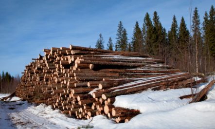 Resolute Forest Products.jpg