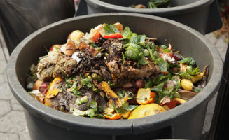 compost650px.jpg