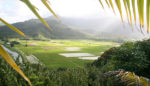 Will the Tropical Island of Kauai Be the Next Front in GMO Fight?