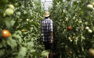 organic-farm.jpg
