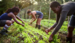 Tractors, Ritual Baths, and Dismantling Racism: Welcome to Black and Latino Farmers Immersion