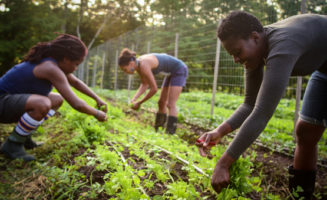 Farm work at Soul Fire Farm. Photo by Capers Rumph.