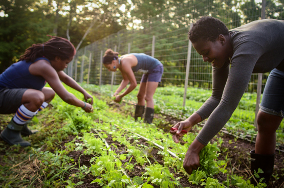 Farm work at Soul Fire Farm. Photo by Capers Rumph.