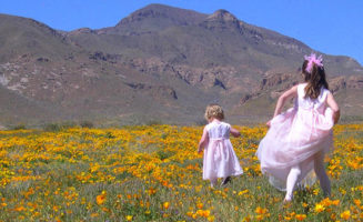 Girls in a field