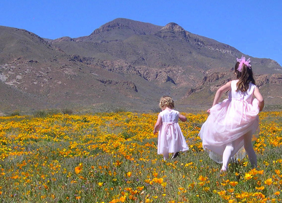 Girls in a field