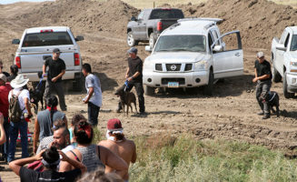 Standing Rock Dakota Access Pipeline Guard Dogs