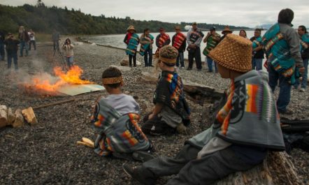Washington Tribes.jpg