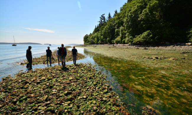 Clam-Garden-Native-Leadership-Salish.jpg