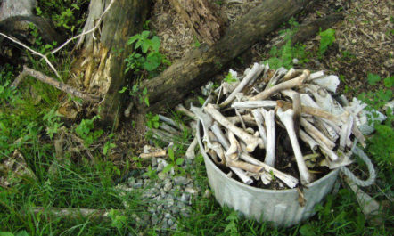 humancomposting_650.jpg