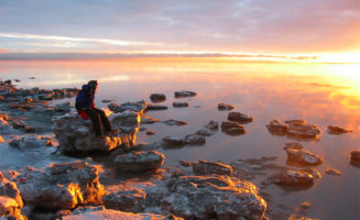 Icebergs at sunset