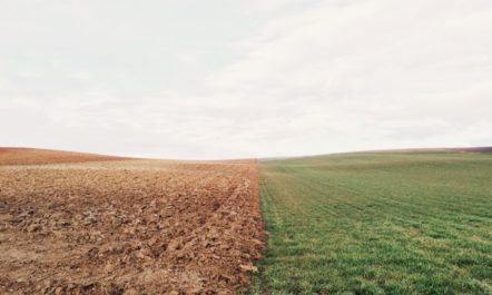 Soil Organic Farming.jpg