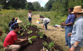 Boston Food Forest photo courtesy of Jamaica Plain