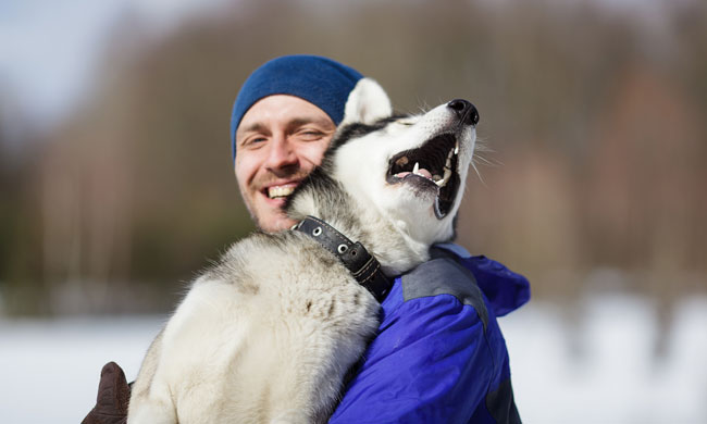 Man with Dog photo from Shutterstock