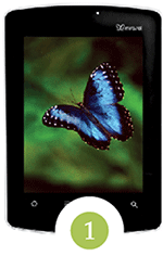 iPhone With Butterfly